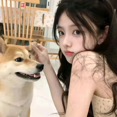 崔弟的高飞冒险